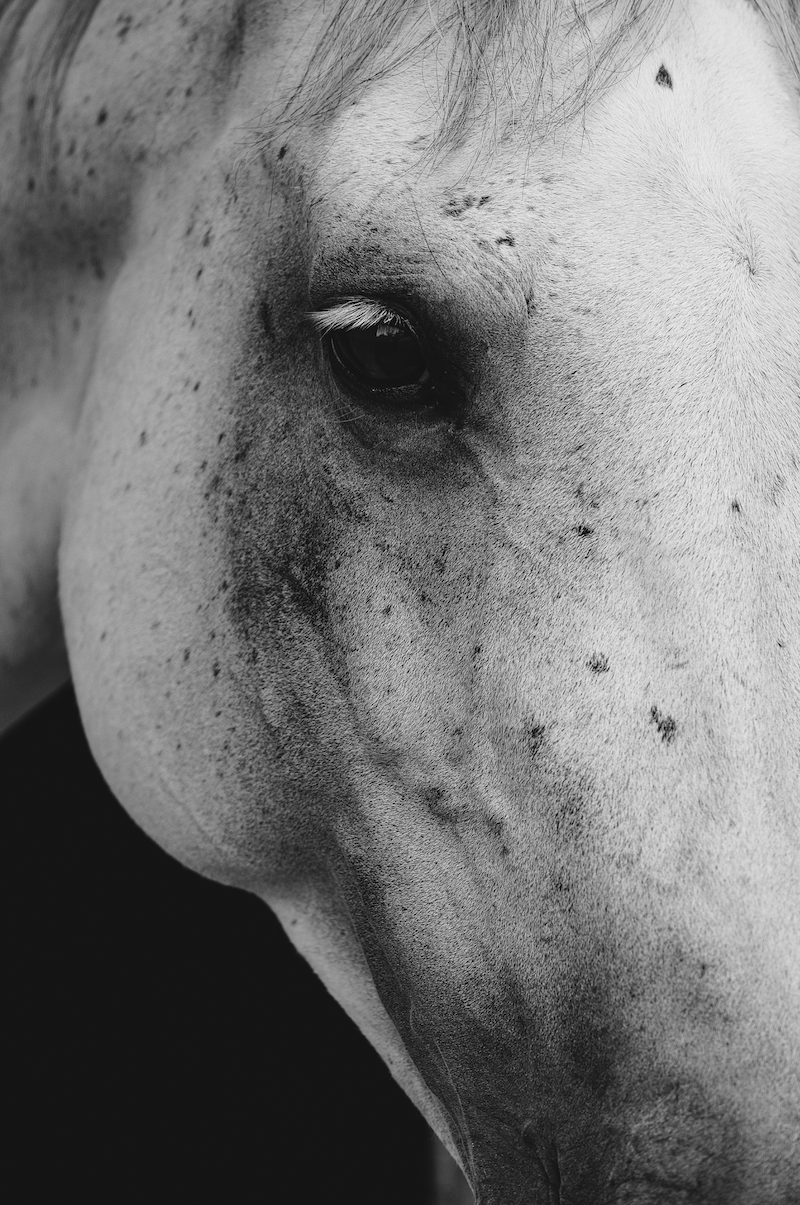 A New Year's Eve Prayer...