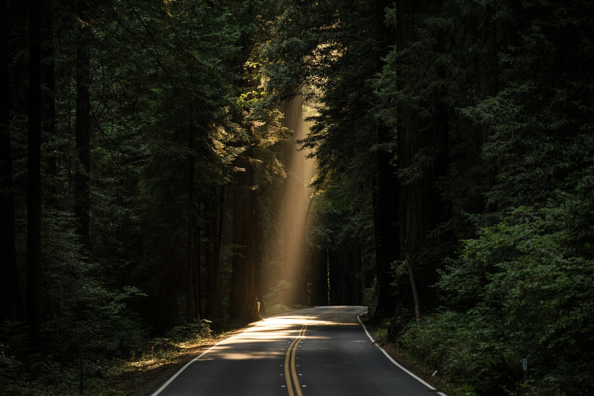 Lightness of Being